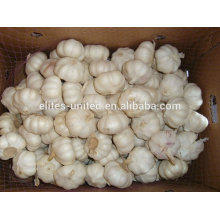 Fresh Garlic From Natural Farms